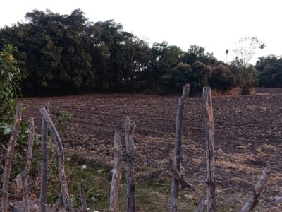 Terreno en Venta - Miacatlán, Morelos