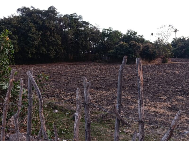 Terreno en Venta - Miacatlán, Morelos