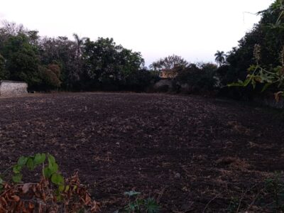 Terreno en Venta - Miacatlán, Morelos