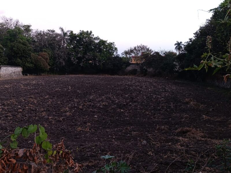Terreno en Venta - Miacatlán, Morelos