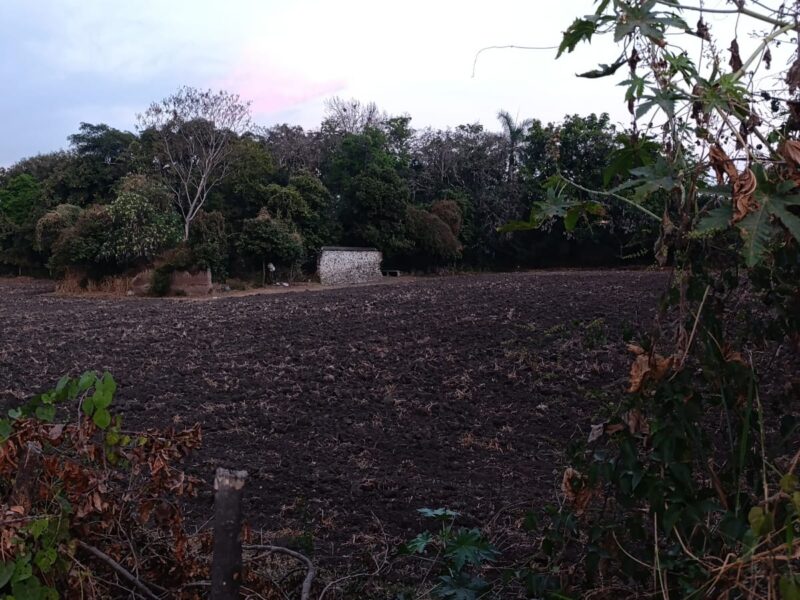 Terreno en Venta - Miacatlán, Morelos