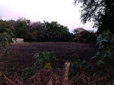 Terreno en Venta - Miacatlán, Morelos